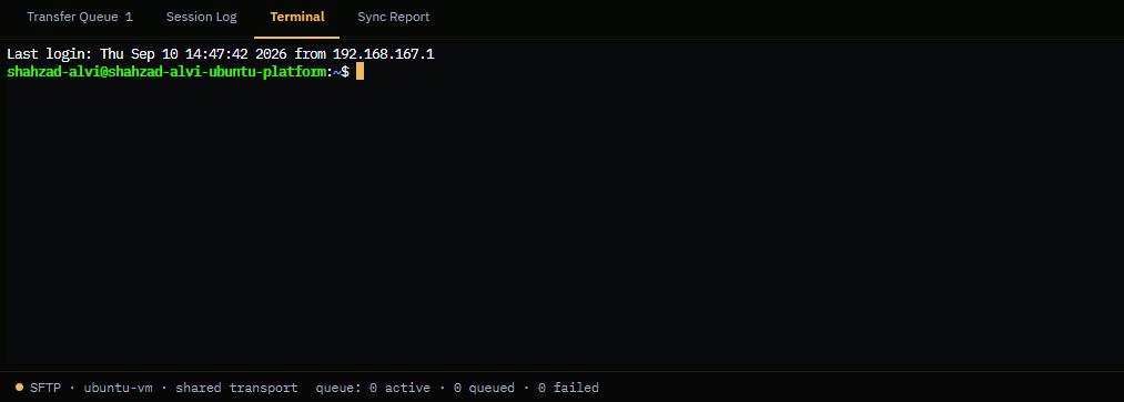 The bottom dock's four tabs: Queue, Session log, Sync report and Terminal.