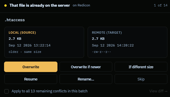 The conflict dialog showing the local source and remote target side by side with sizes and timestamps, a newer-or-older comparison, and the six action buttons.